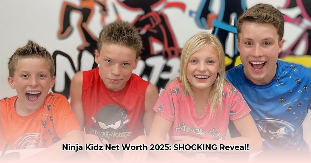 ninja-kidz-net-worth